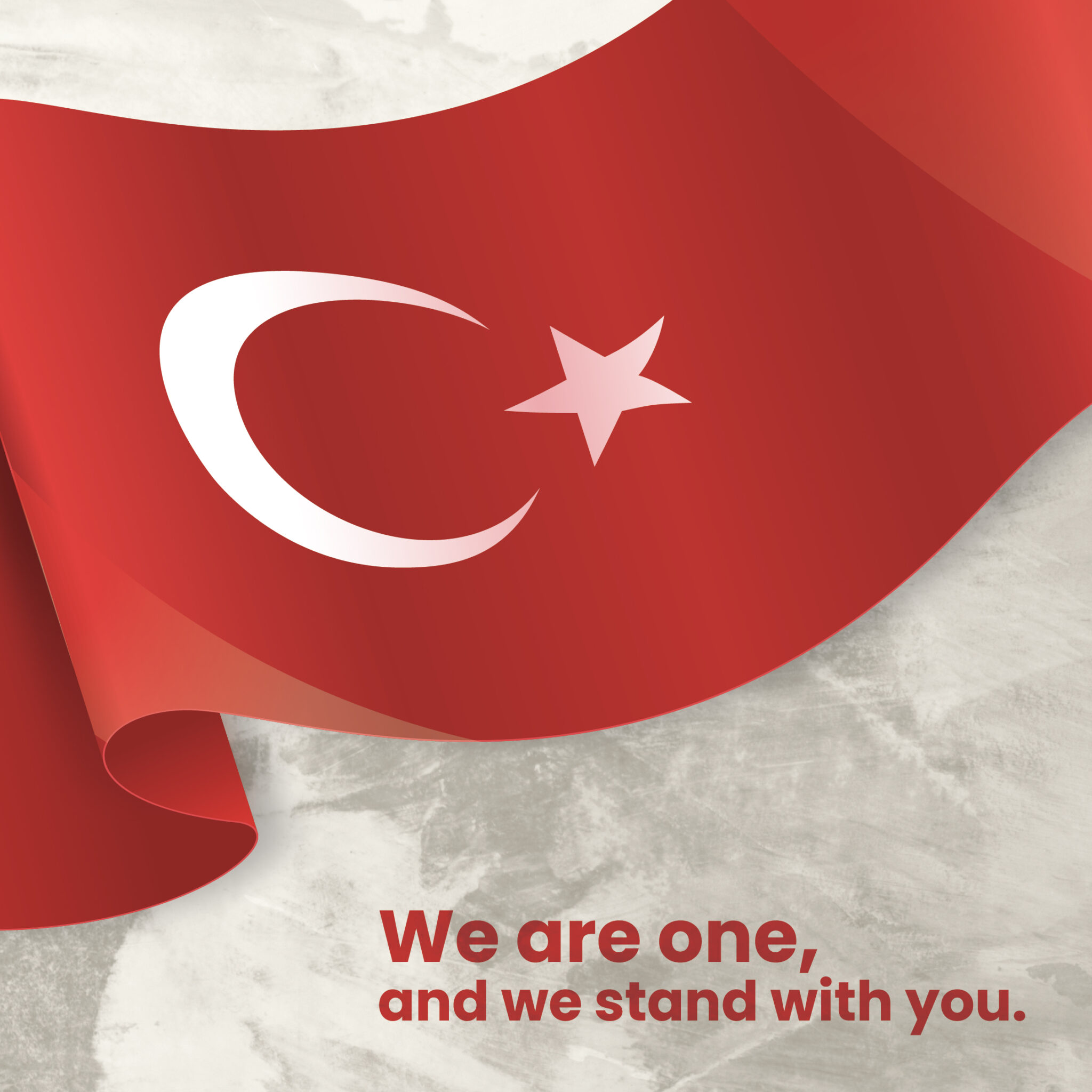 stand with Turkey 2 scaled